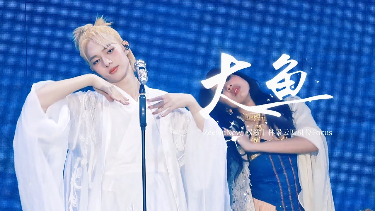 ZeeNuNew 2nd Concert「大鱼」4K Focus