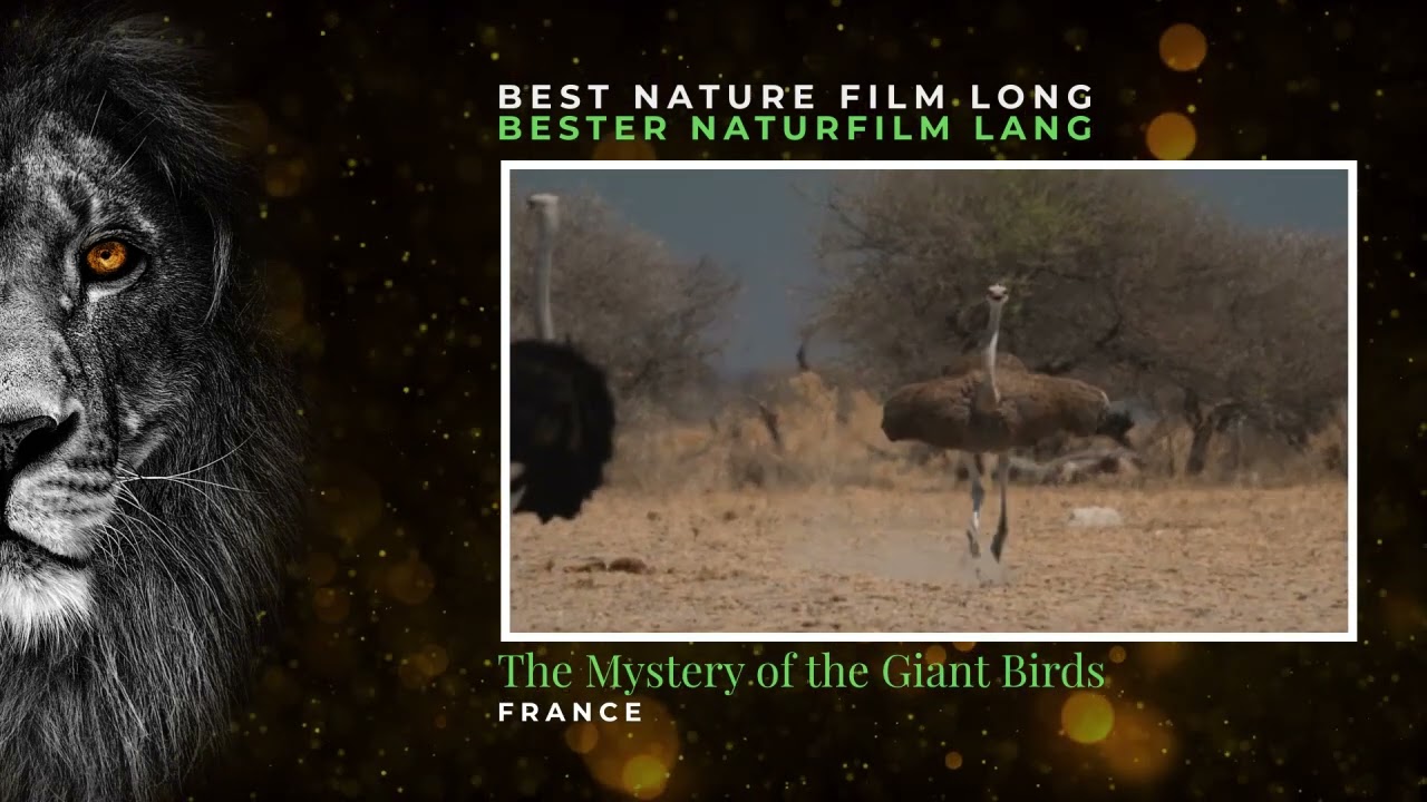 NATOURALE 24 Bester Naturfilm Langfassung