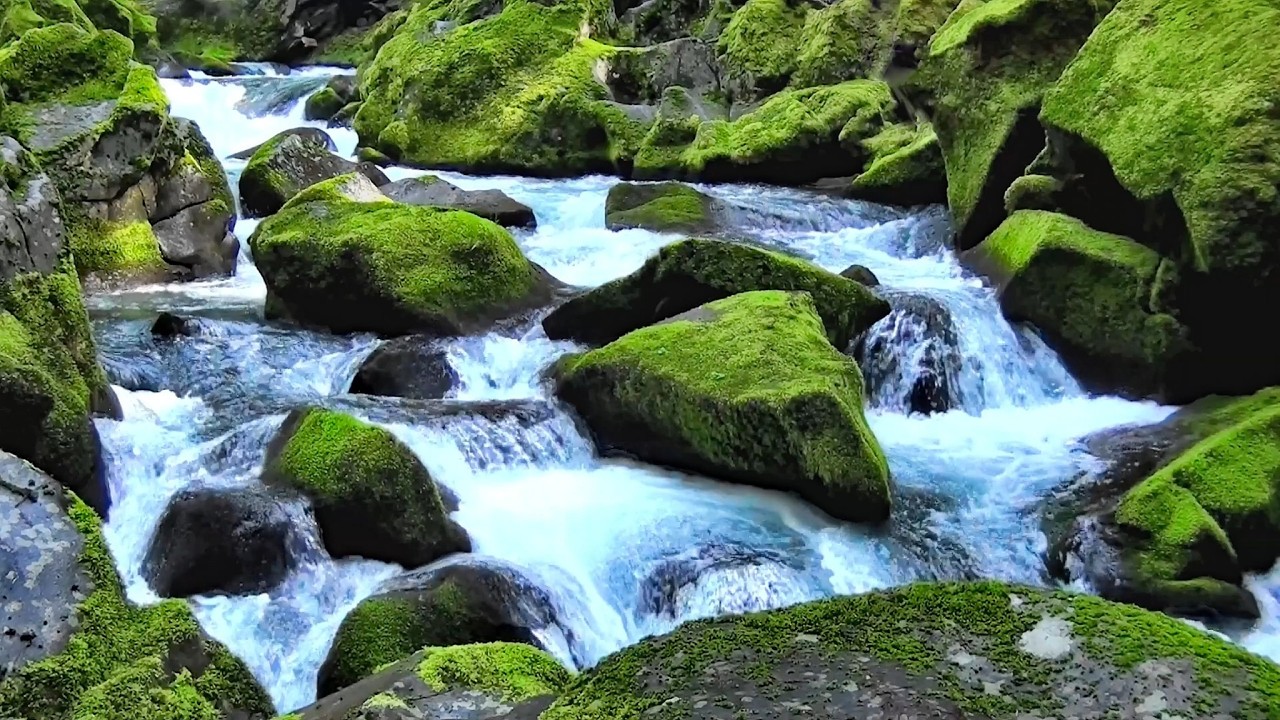 River Sounds for Sleep 🌊 10 Hours of Relaxing Flowing Water & Nature Ambience (No Music)