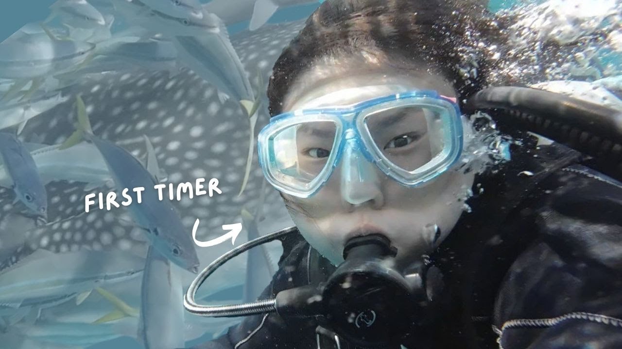 Diving with Whale Sharks | Okinawa | Japan | 2024