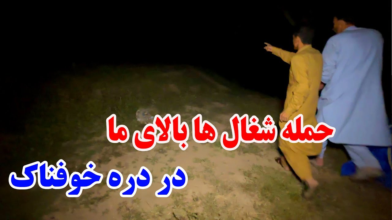 ادامه سفر رفتن به مرز پاکستان - شب را در دره پر از شغال ها سپری کردیم