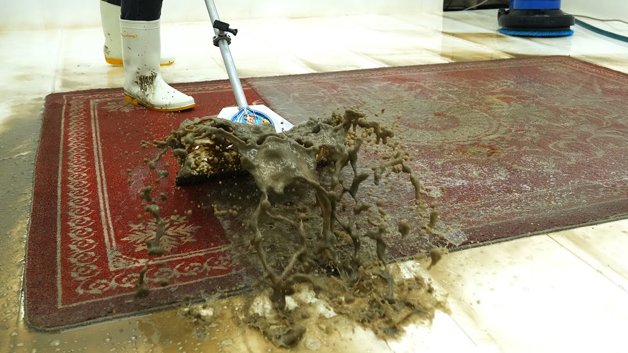 World's Rarest Rug: Cleaning a Billionaire's Priceless Tapestry - Carpet Cleaning ASMR