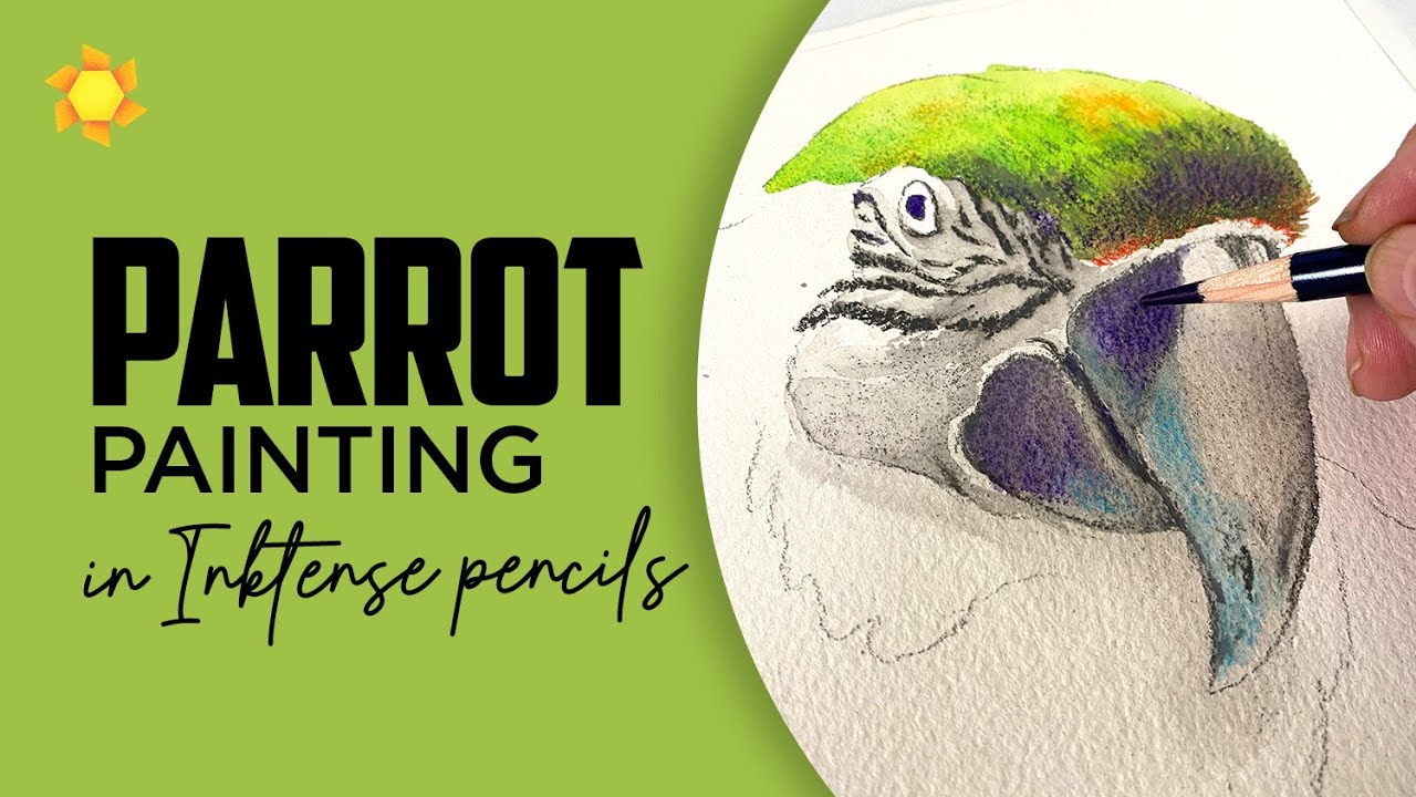Inktense pencil techniques (Parrot, realtime)