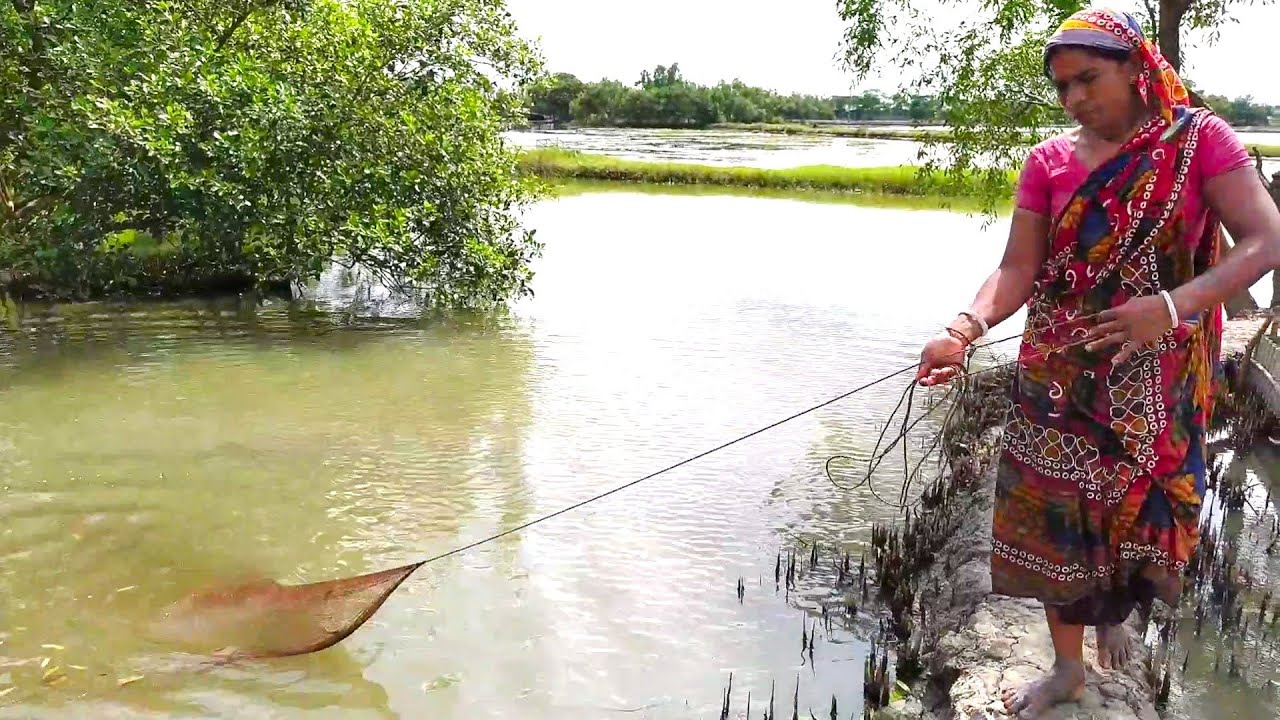 Cast Net Fishing||Village Amazing Woman Catching Fish With A Cast Net.(Part:91)