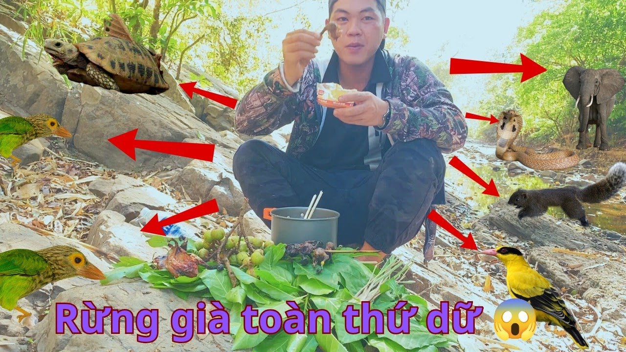 12H Cầm Ná Cao Su Vào Rừng Kiếm Ăn,Dã Ngoại ! Gặp Toàn Thú Dữ Rừng Thiêng ||SangSlingShot #nácaosu