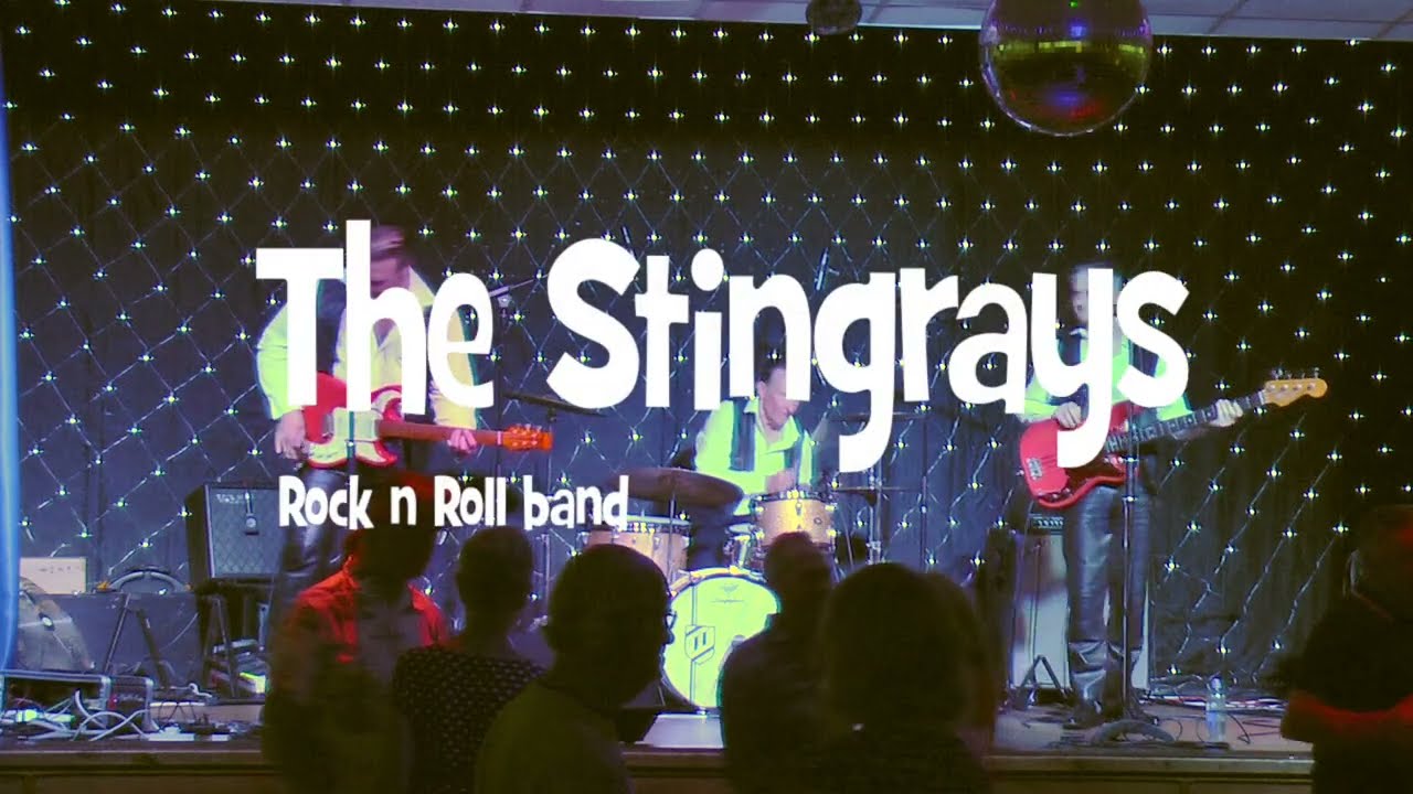 Do You Wanna Dance  The Stingrays (UK) Cliff Richard Cover