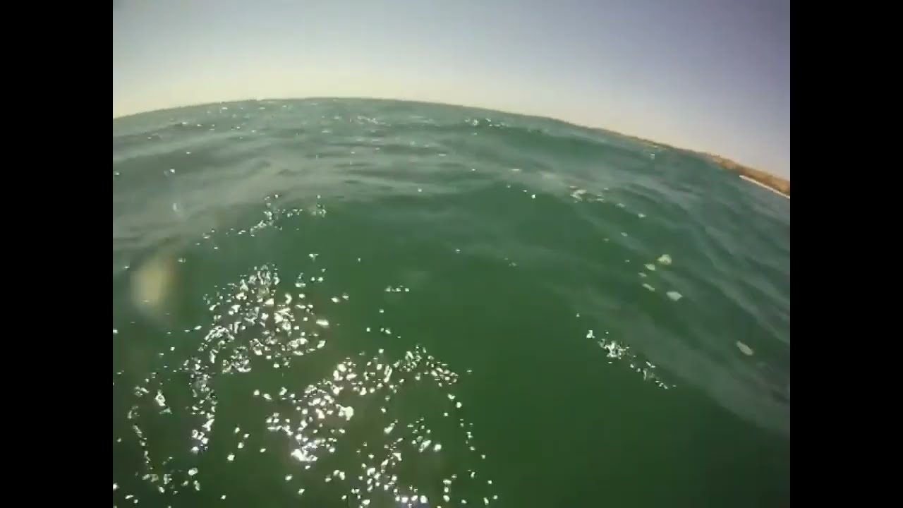 Shark under kayak at Meols beach . Wirral , Merseyside .