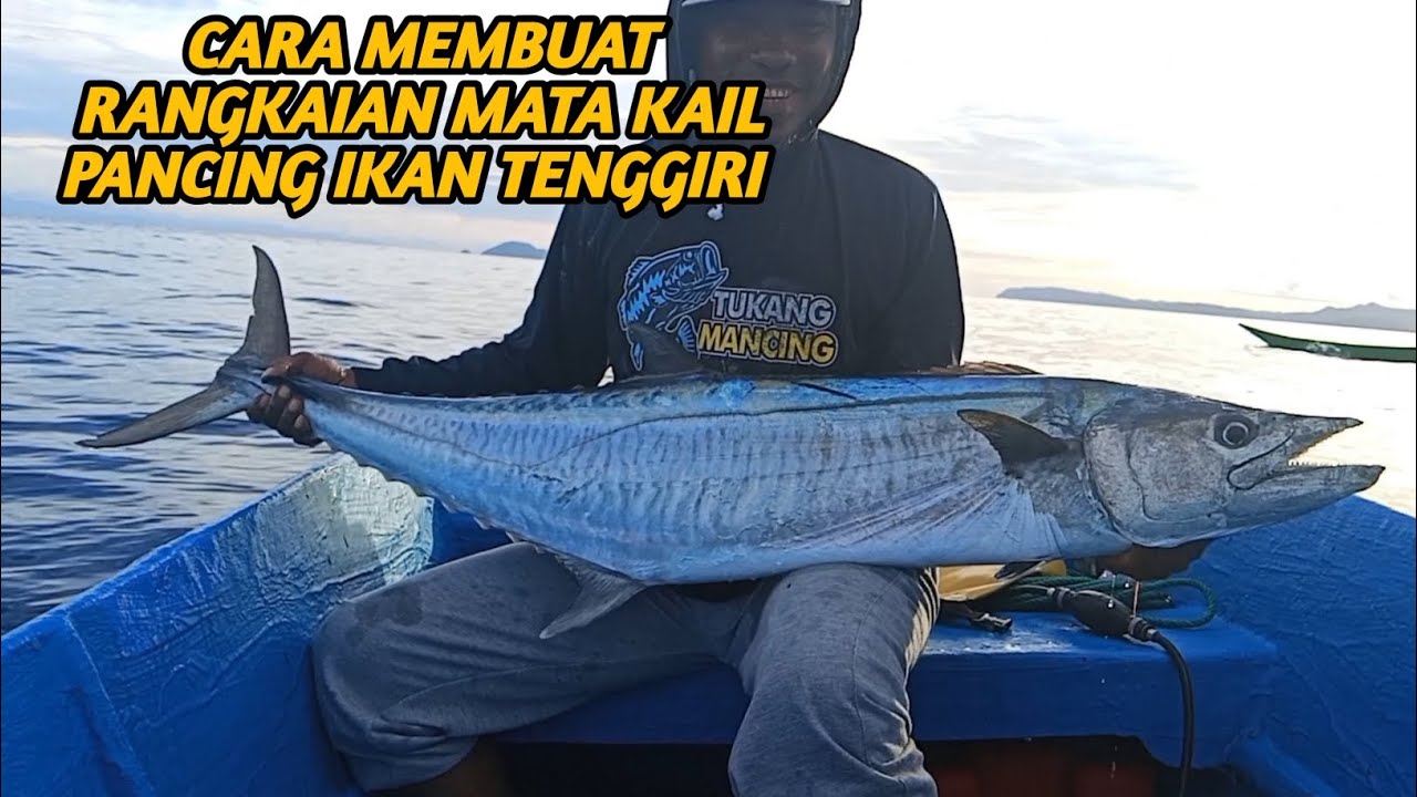 cara membuat rangkaian mata kail mancing tenggiri pakai umpan hidup.. #fishing #fishingline 