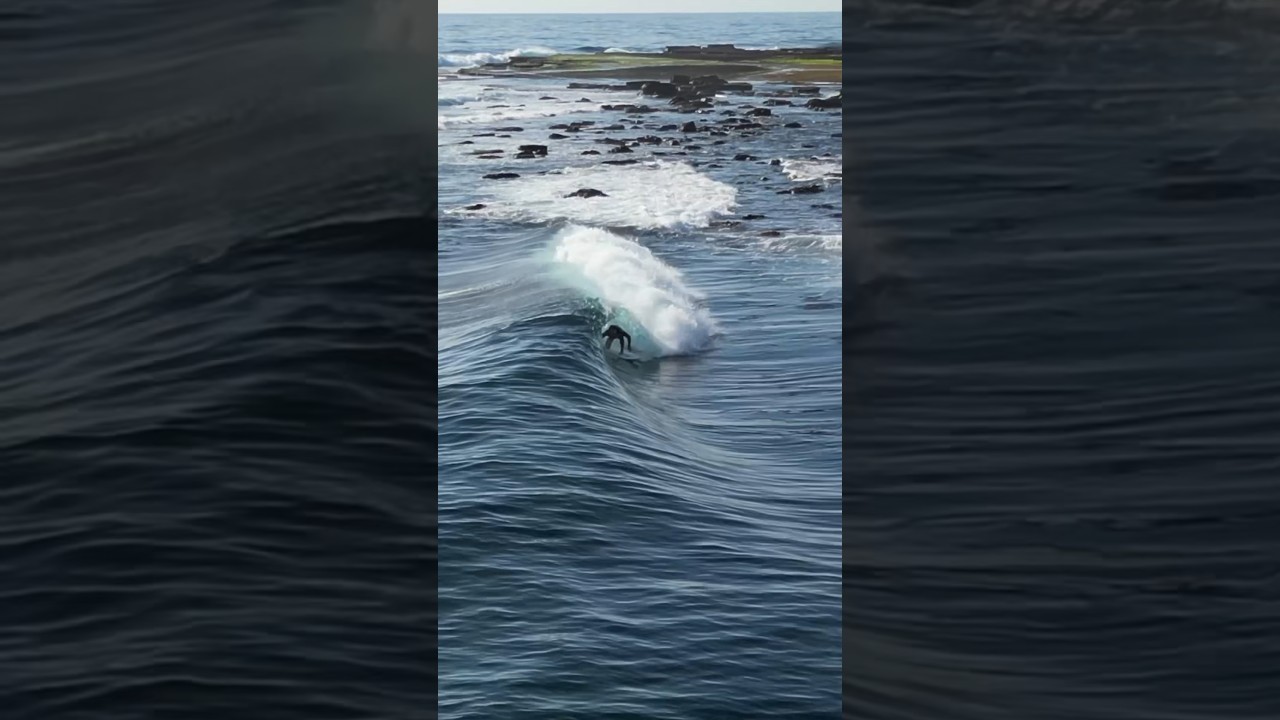 A PERFECT WAVE AT A REEF BREAK!