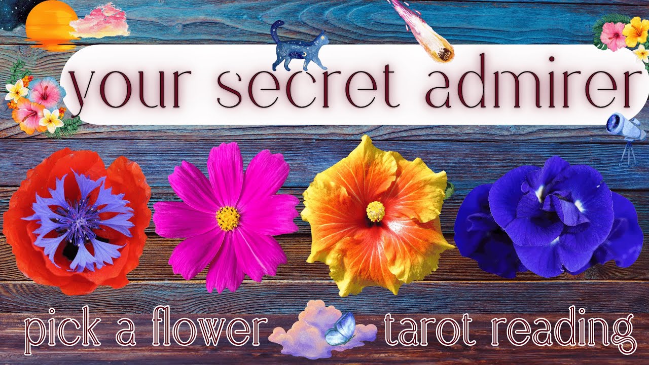 Who Has A Secret Crush On You? Their Next Move? What's Next?🌹| Pick A Card Tarot Reading For Love