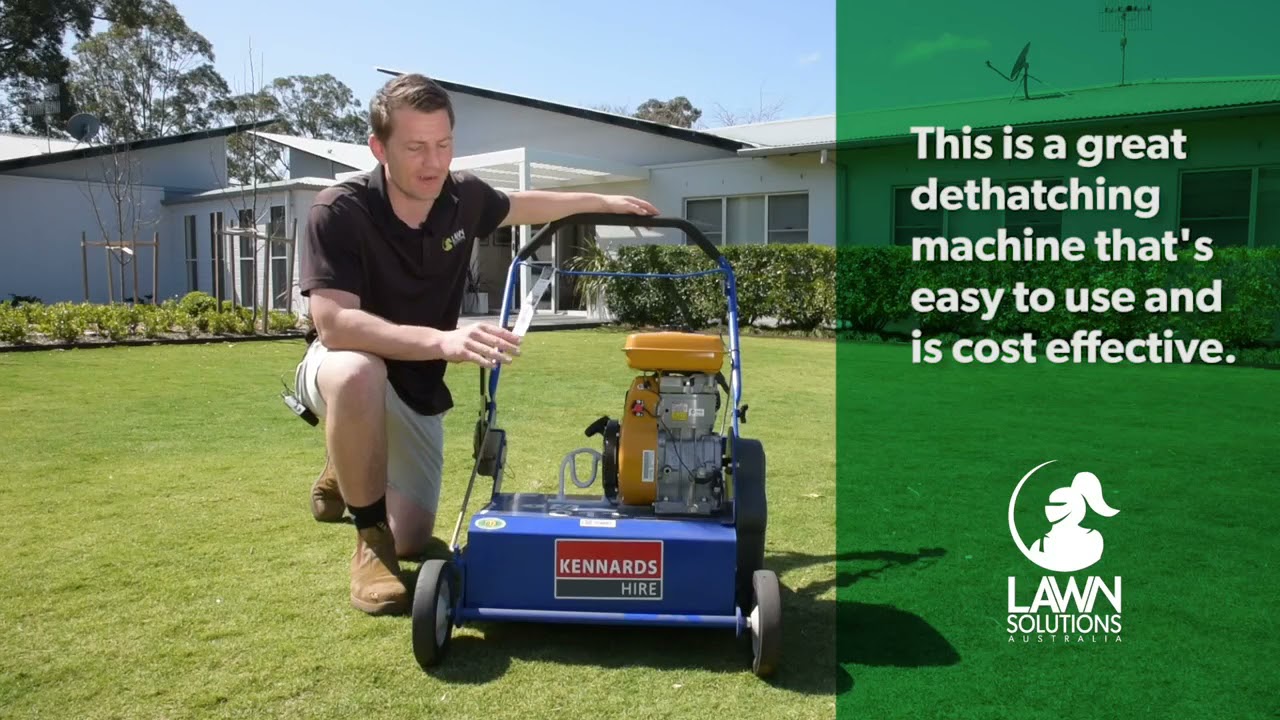 Spring Lawn Renovation - Dethatching