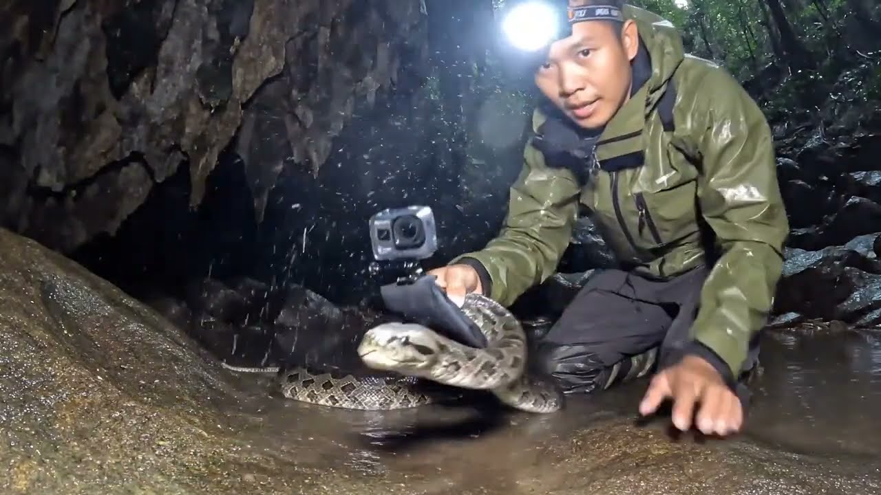 We Found Something Inside a Tropical Snake Cave