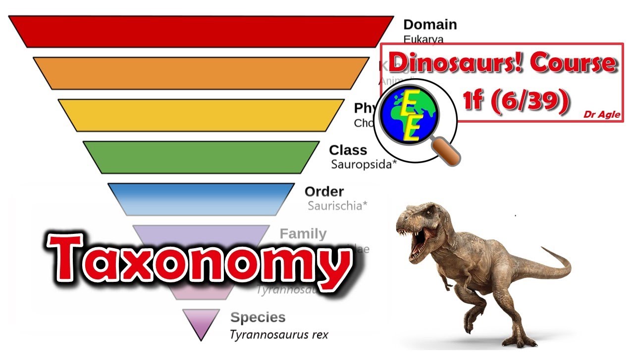Taxonomy Overview: Classifying Life (1f - 6/39)