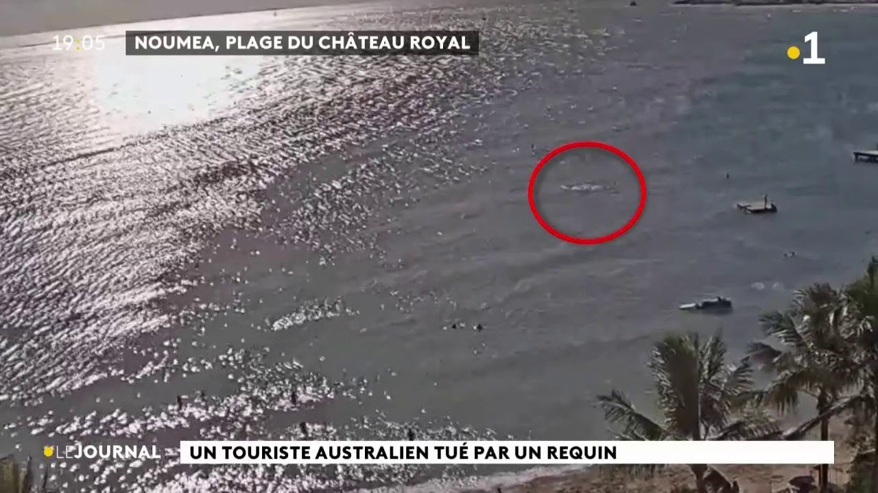Un touriste Australien tué par un requin.