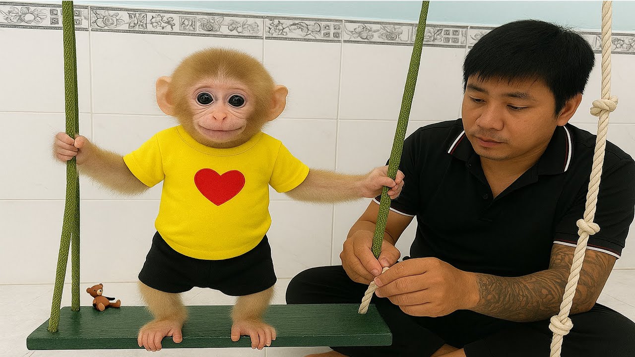 30 Days So cute! Monkey Molly is very happy with the special gift that her daddy prepared for her.