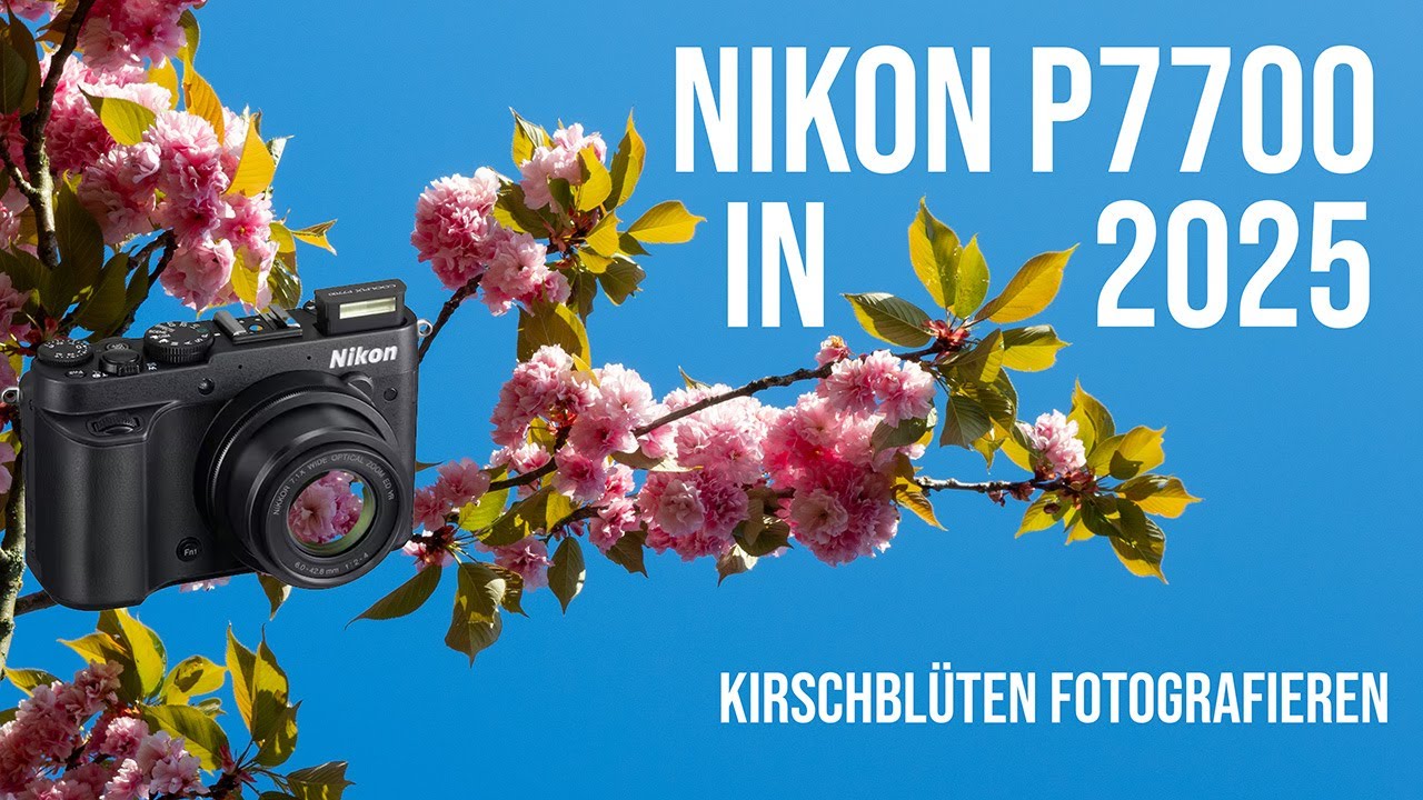 Nikon P7700 - Kirschblüten in der Stadt fotografieren