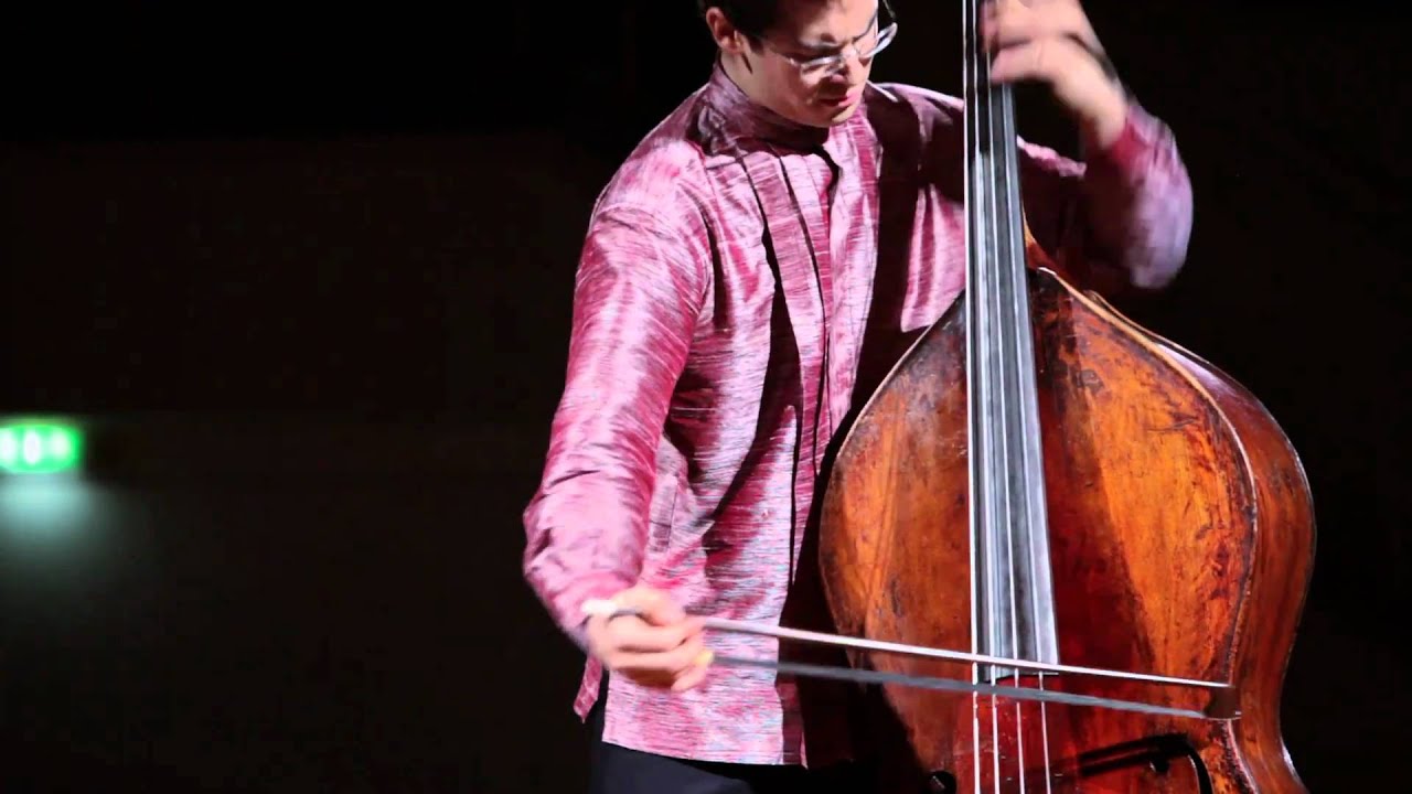 Vanhal Kontrabass Konzert, Sergio Tiempo, E. Ruiz I mov