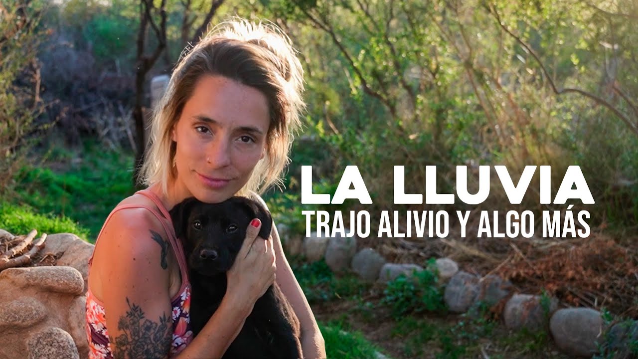 Llegó la LLUVIA y trajo algo más que ALIVIO a nuestra CASA EN EL MONTE