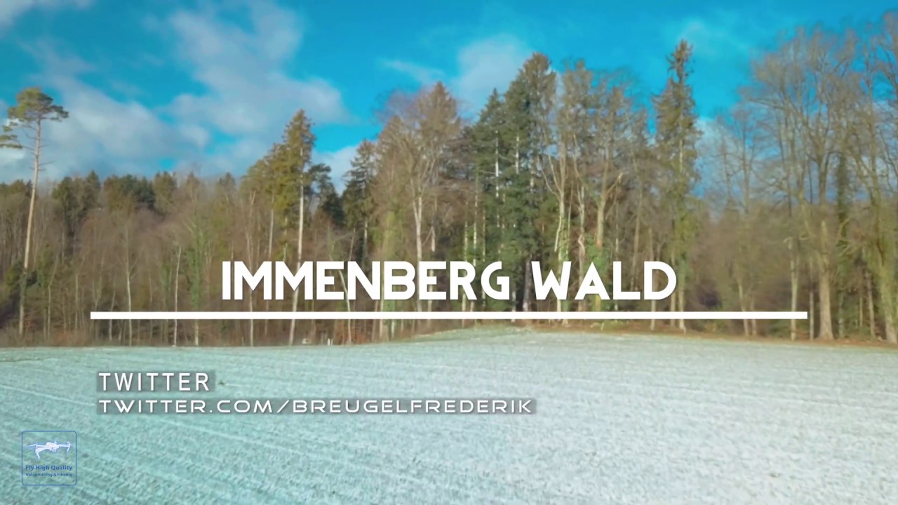 Switzerland Immenberg Wald