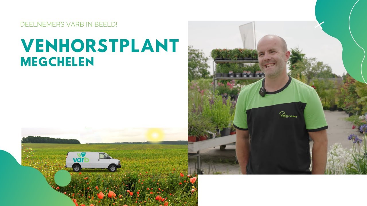 Venhorstplant - Varb komt naar je toe deze zomer