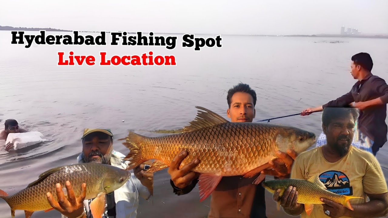 Hyderabad Fishing 🎣 Indian Fishing Video 🎣 Big Rohu Fishing 🎣 Fishing Videos 🎣 Fish Catching