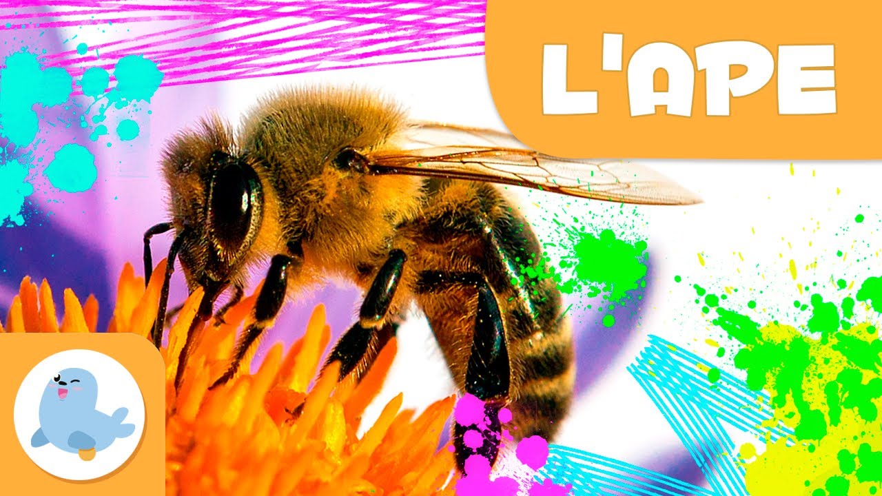 L'ape 🐝 Animali per bambini 🍯 Episodio 4