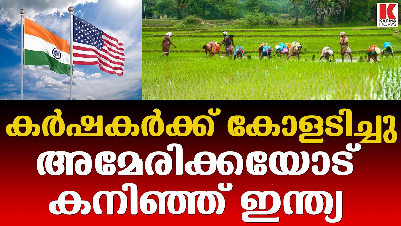 ഇന്ത്യ-അമേരിക്ക വ്യാപാര കരാർ,  പയർവർഗങ്ങളുടെ ഇറക്കുമതി തീരുവകളിൽ വൻ ഇളവ്