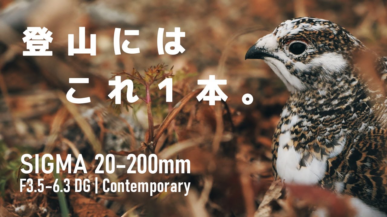 絶景からライチョウまで撮れる！シグマの神ズーム SIGMA 20–200mm F3.5–6.3 DG | Contemporary