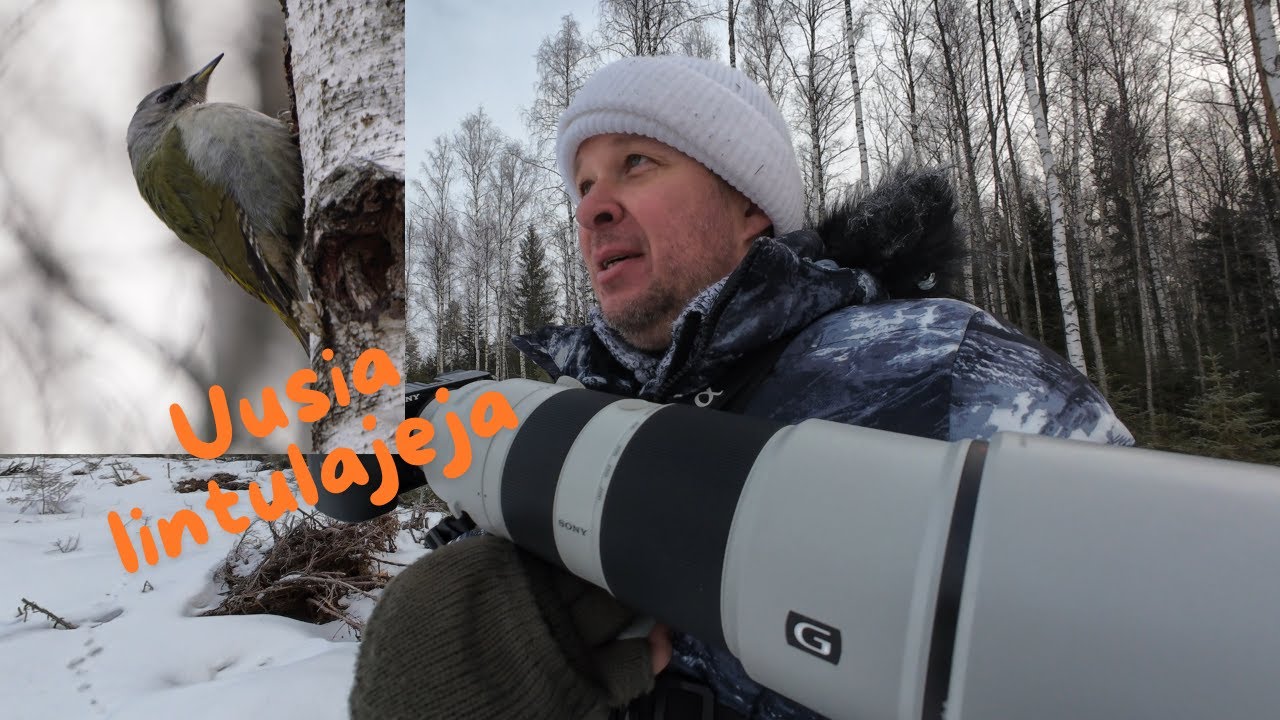 POV - Luontokuvaus. Kolme uutta lintulajia !