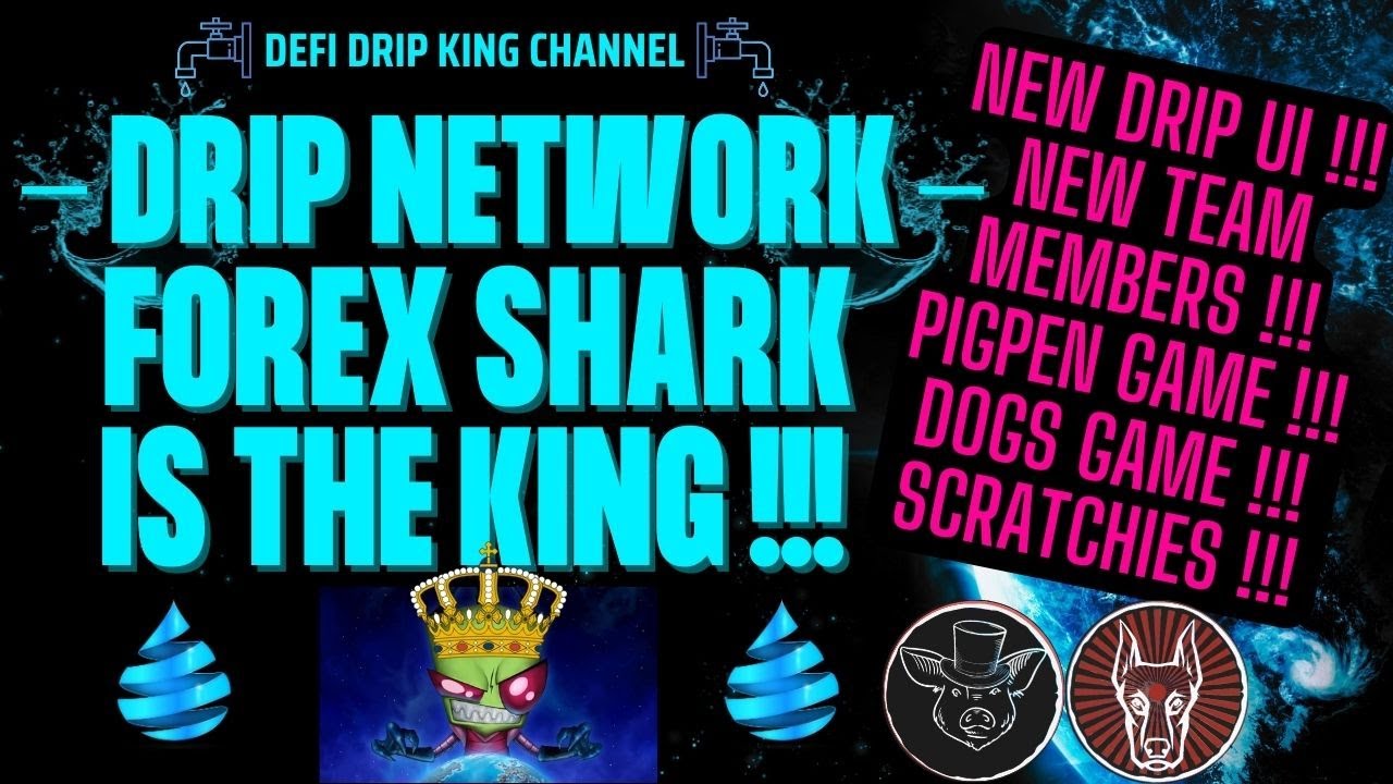 💧 DRIP NETWORK | FOREX SHARK BIG UPDATE + HIGHLIGHTS FROM NEW AMA! FOREX IS THE KING!!! 👑💧