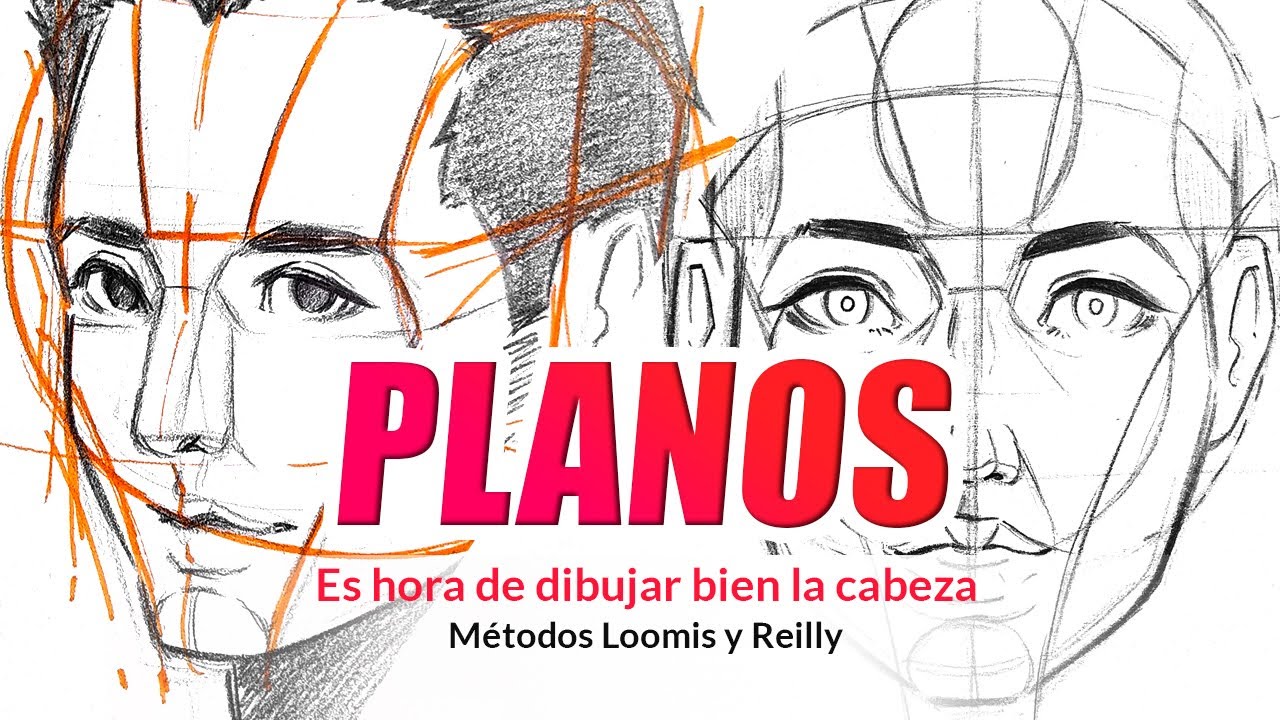 COMO DIBUJAR LOS PLANOS DEL ROSTRO Y CABEZA | Método Loomis y Reilly