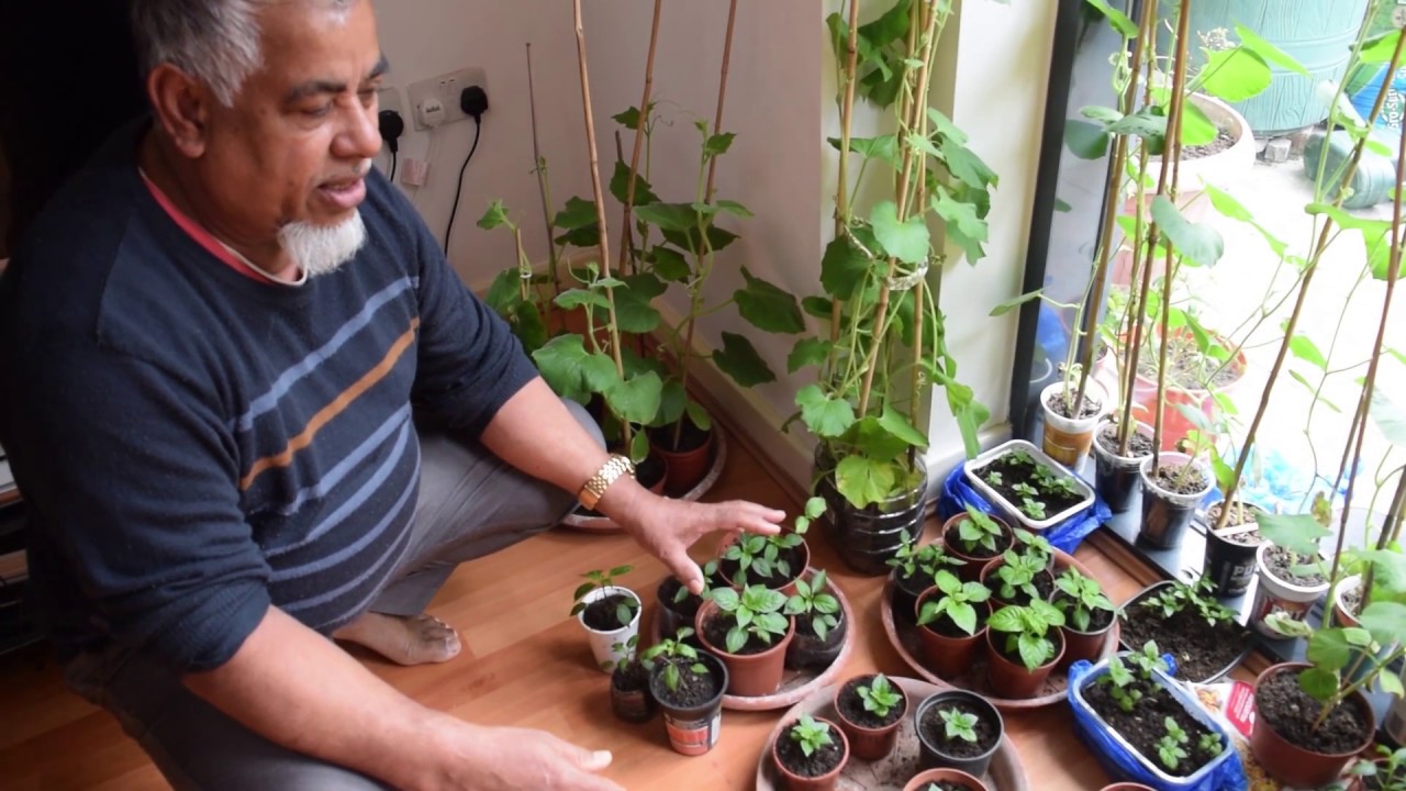 Amar Bangla Garden Ep.3