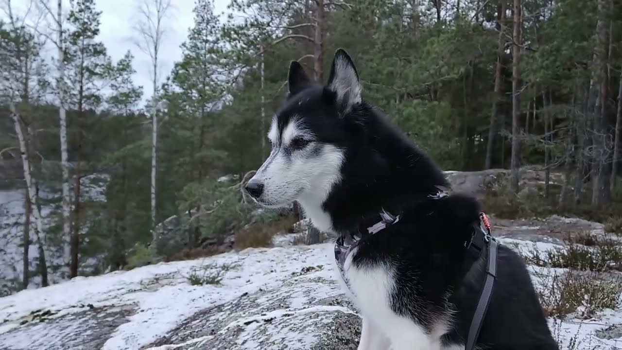 Bodomista pohjoiseen