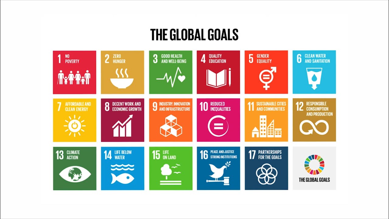 What is Sustainable Development Goals (SDGs)?