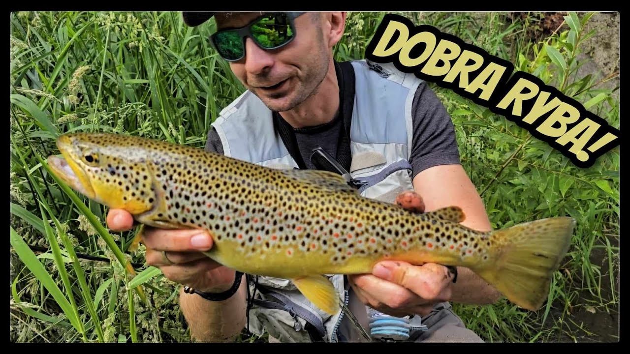 Pstrągi 2024: Dooobra ryba po strasznej rzeźbie. #68