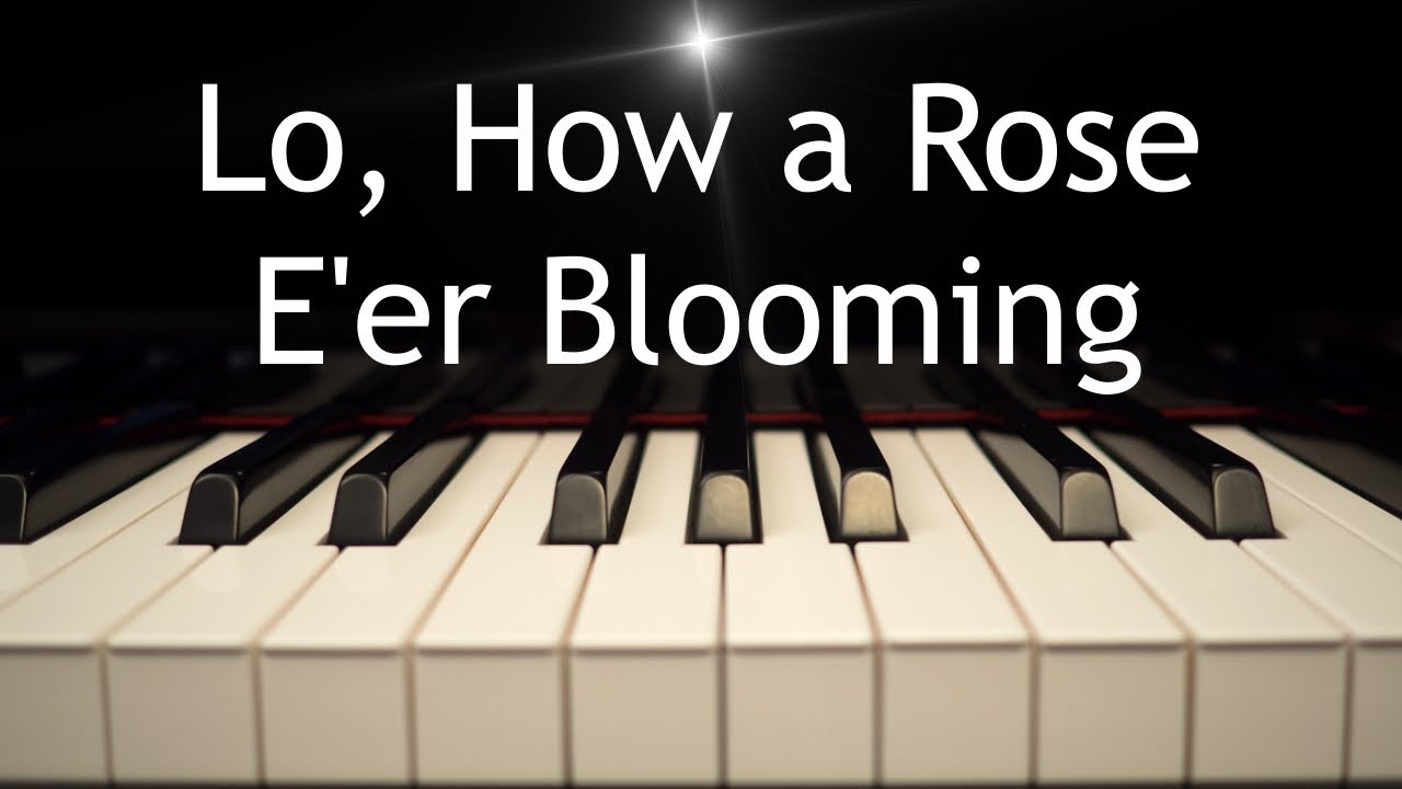 Lo, How a Rose E'er Blooming - Christmas piano instrumental with lyrics