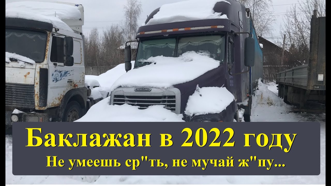 Вести про Фредлайнер. Когда поставили на зимовку, потому-что 