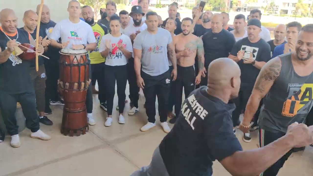 Mestre cacau e Bodáo