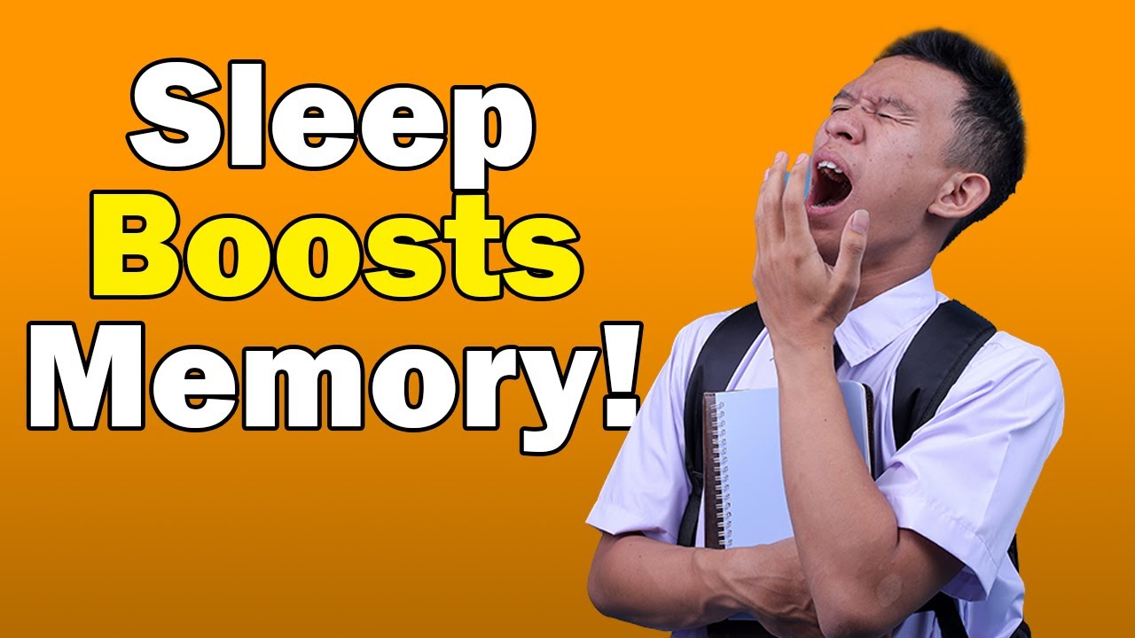 Learning on a Delay, The Science of Sleep | How Learning Works Ep. 6