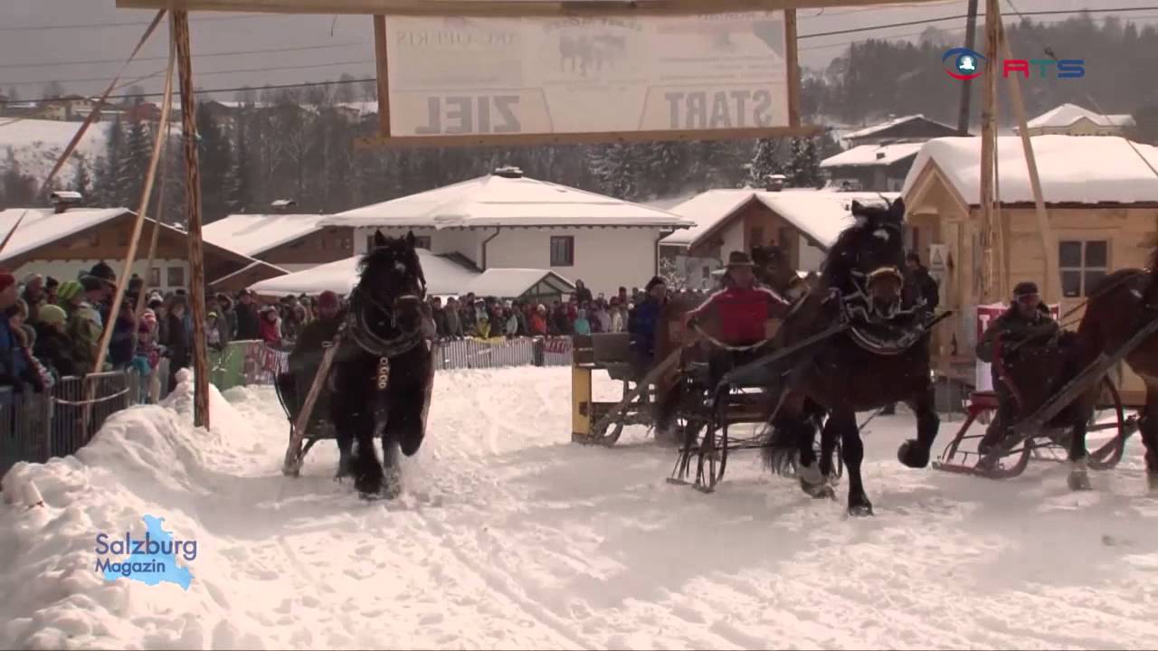 Pferdeschlittenrennen in Goldegg, www.rts-salzburg.at