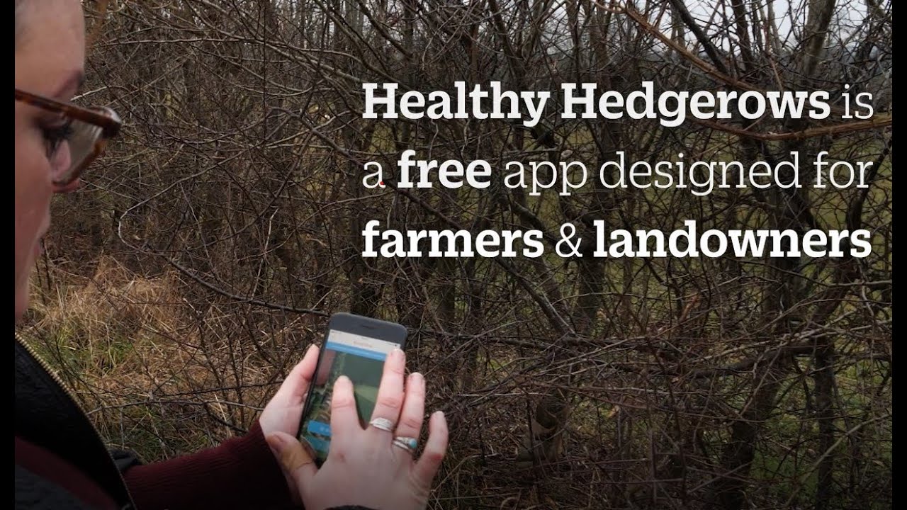 People's Trust for Endangered Species - Healthy Hedgerows App Introduction