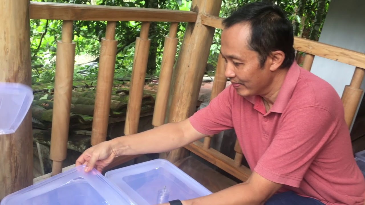 Air Alkali - Membuat sendiri di rumah