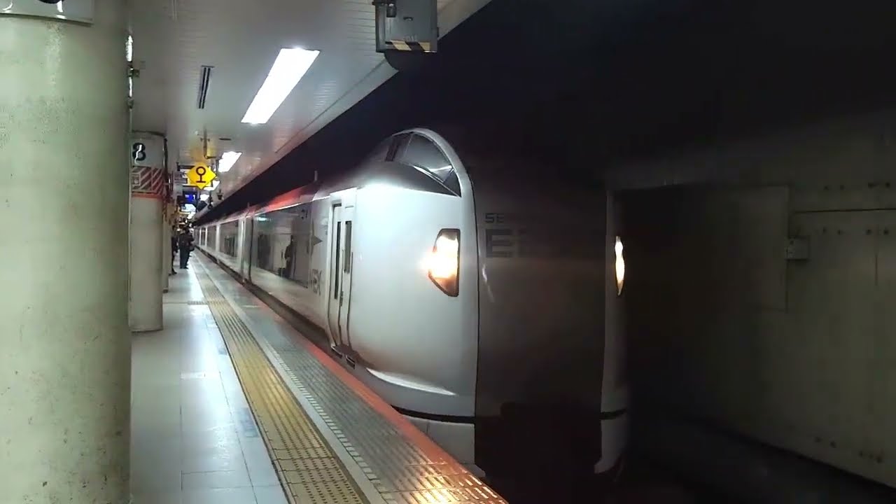 【切り離しあり】E259系　成田エクスプレス50号八王子行きと大船行き　東京駅発車【入線・発車シーン】