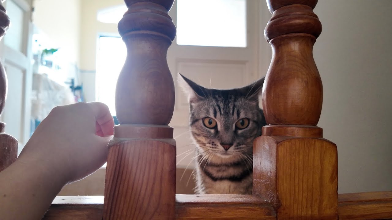 Behind the stairs..