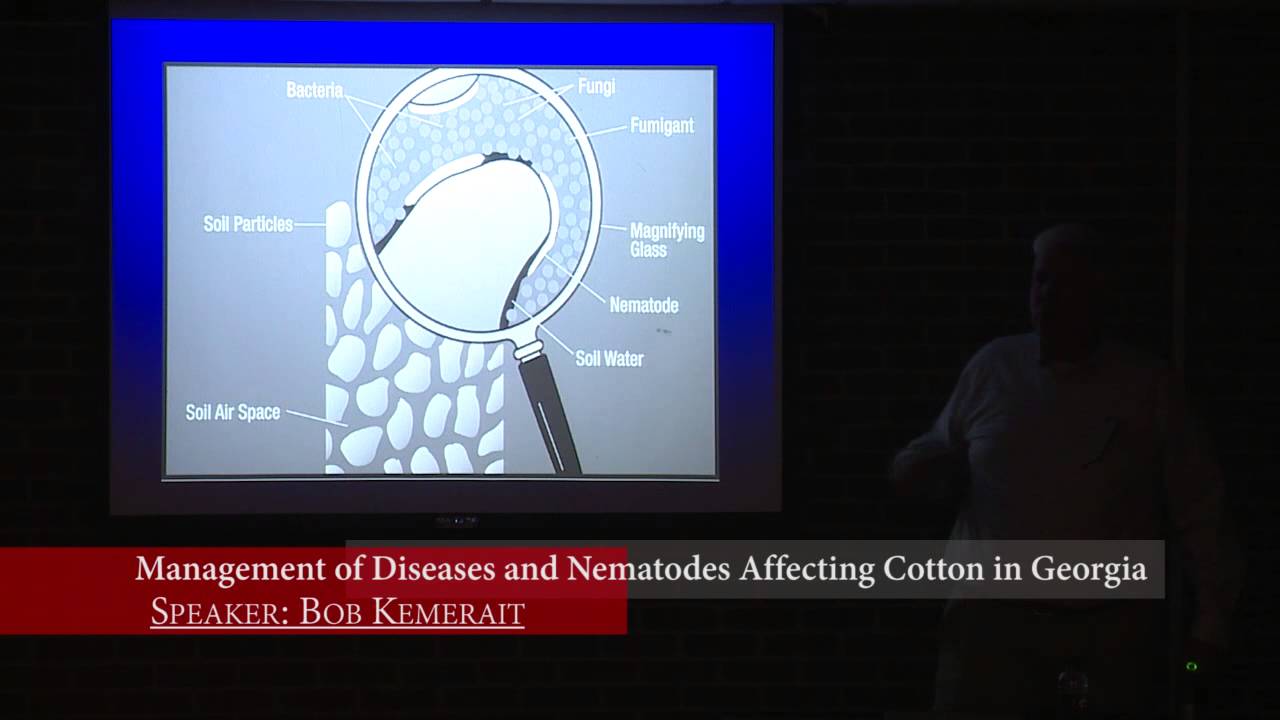 Management of Diseases and Nematodes Affecting Cotton in Georgia, Bob Kemerait