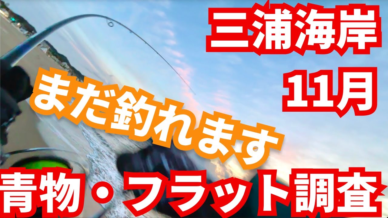 【11月中旬】秋終盤でもスゴい魚影だ！青物・ヒラメ・マゴチ狙い【大潮】三浦海岸｜#ショアジギング #海釣り #サーフフィッシング #フラットフィッシュ #神奈川 #三浦半島 #オーディン95s #釣り