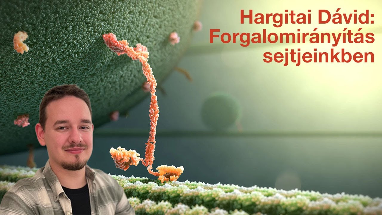 Így zajlik sejtjeinkben a forgalomirányítás