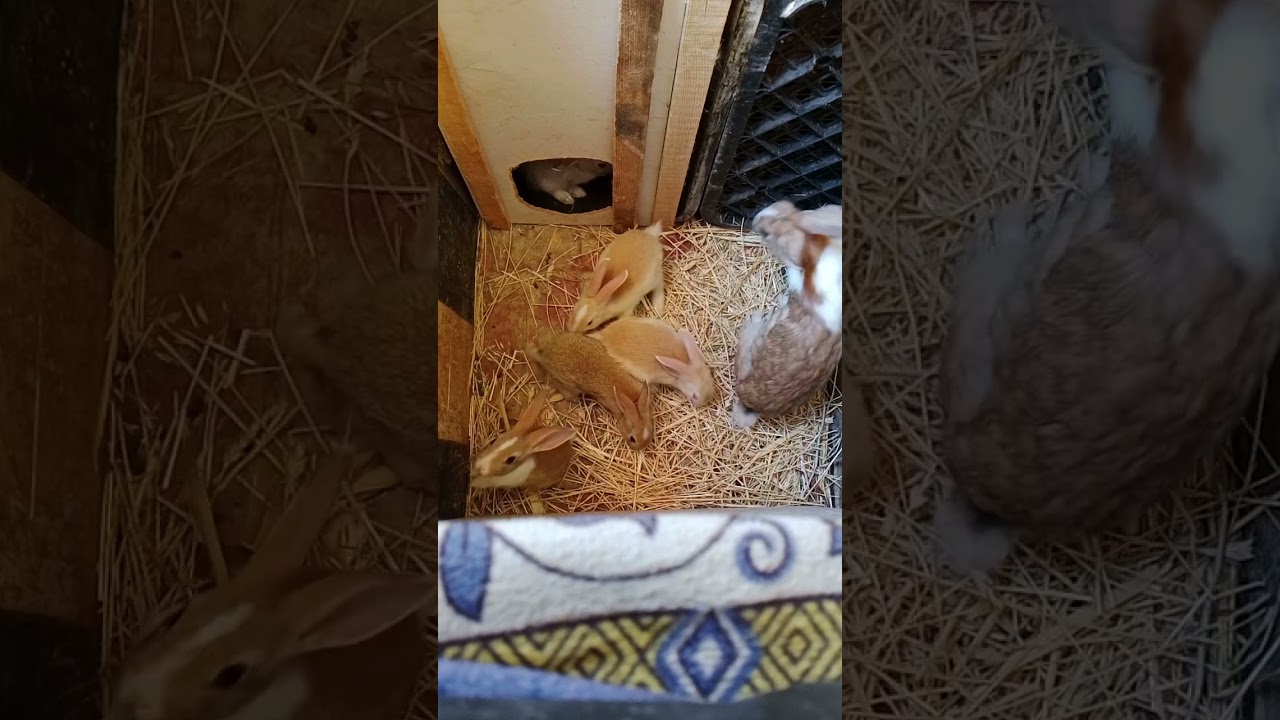 أشنو خاصك الدير قبل ما تبدا المشروع ديالك 
