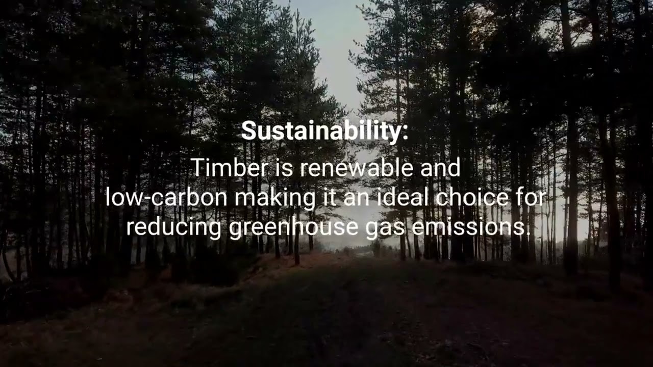 Timber - The future of sustainable construction.