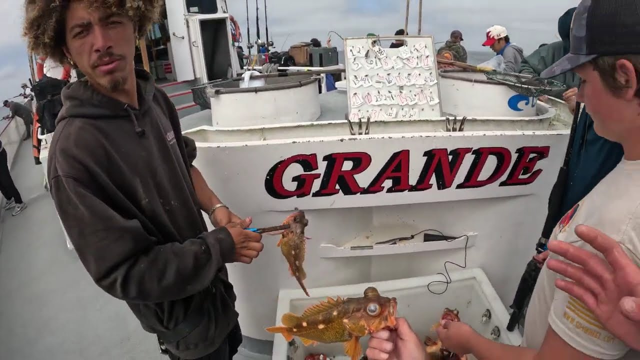 Grande Sportfishing June 28th 2025 Full Day Coronados Yellowtail and RockFish